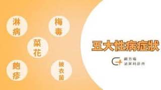 身为老司机，给你普及一下-白菜论坛-白菜网导航-白菜社区